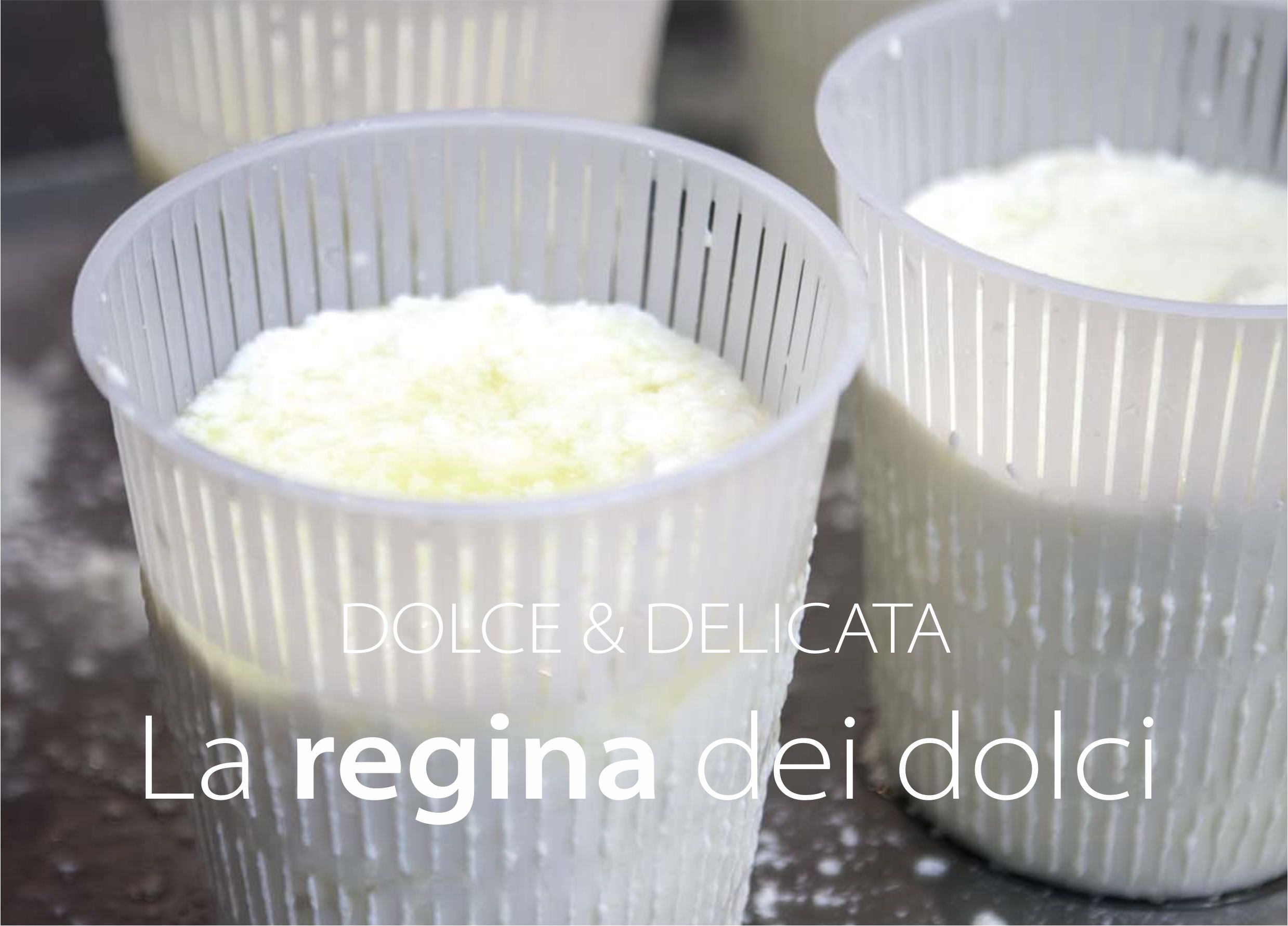 ricotta delicata